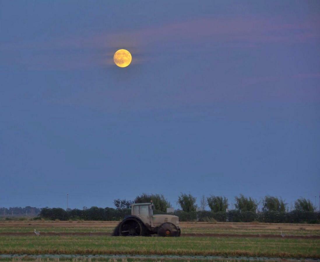 L' Espiga - Casa Rural Deltebre Bagian luar foto